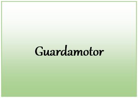 Guardamotor