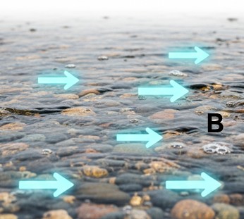 Analogía con un río, inducción magnética
