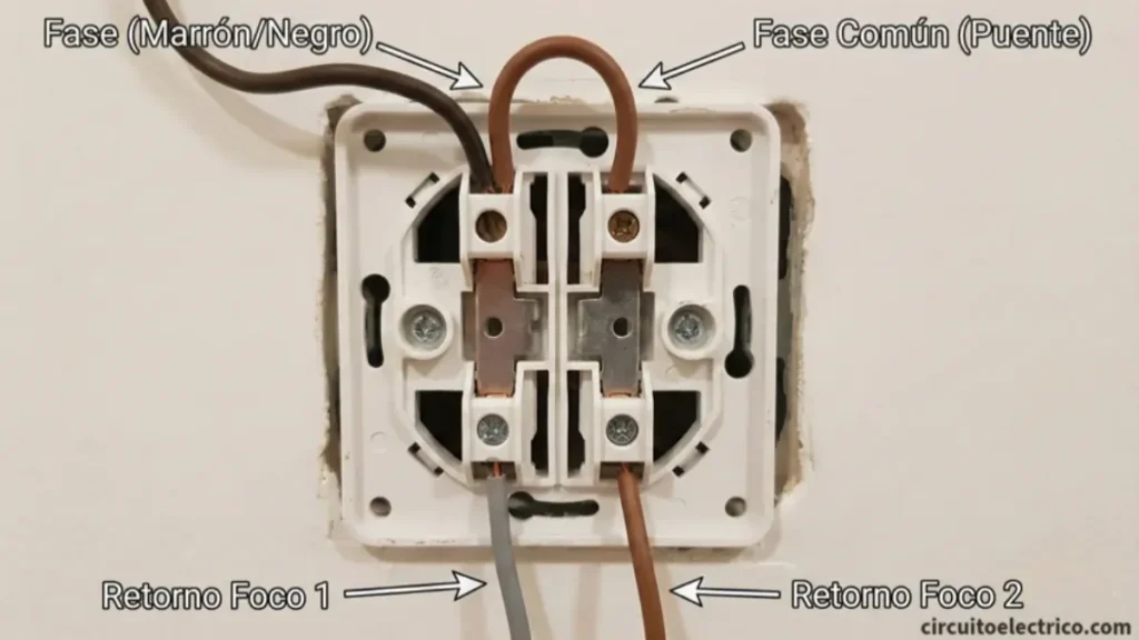 Vista trasera del cableado de un interruptor doble. El cable de Fase entra en un borne y realiza un "Puente" (arco marrón) para alimentar la "Fase Común" de la segunda tecla. Salen dos cables de Retorno independientes (gris y marrón) hacia el Foco 1 y Foco 2