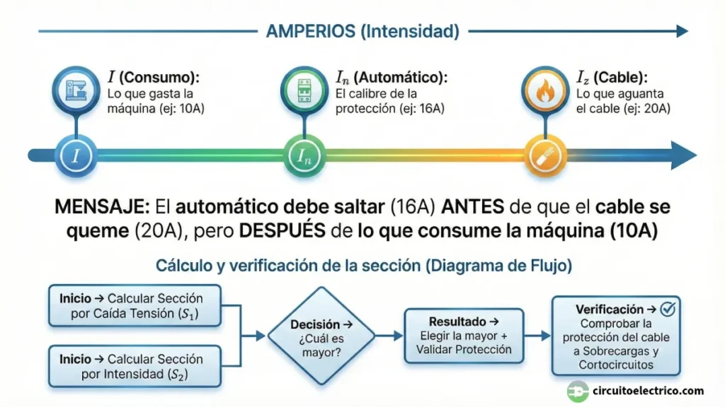 Infografía sobre coordinación de protecciones eléctricas. Izquierda: La "Regla de Oro" visualizada con iconos, mostrando que el consumo (10A) debe ser menor que el automático (16A), y este menor que el límite del cable (20A). Derecha: Diagrama de flujo para el cálculo de sección, comparando el criterio de Caída de Tensión vs Intensidad para elegir el mayor
